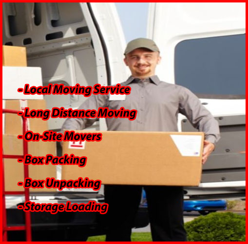 Packers And Movers Noida Sector 85
